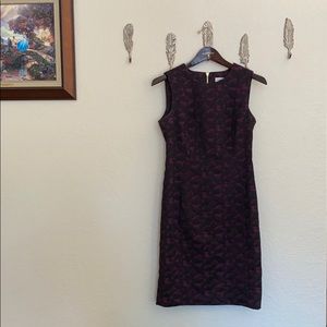 calvin klein mariya dress